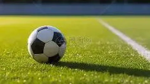 下周盛大启幕！东莞邀您共赏十五运篮球盛宴！观赛攻略速览→